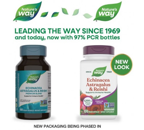 Ехінацея, астрагал і рейші Nature's Way Echinacea Astragalus & Reishi 100 капсул
