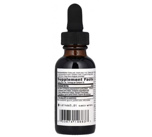 Ехінацея і гідрастіс Nature's Way Echinacea Goldenseal 30 мл