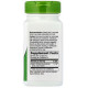 Ехінацея пурпурна Nature's Way Echinacea Purpurea Herb 1200 мг 100 вег капс