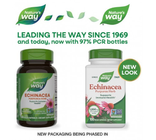 Ехінацея пурпурна Nature's Way Echinacea Purpurea Herb 1200 мг 100 вег капс
