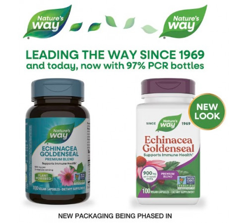 Ехінацея та гідрасстис Nature's Way Echinacea Goldenseal 900 мг 100 вег капсул