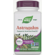 Астрагал Nature's Way Astragalus 60 капсул