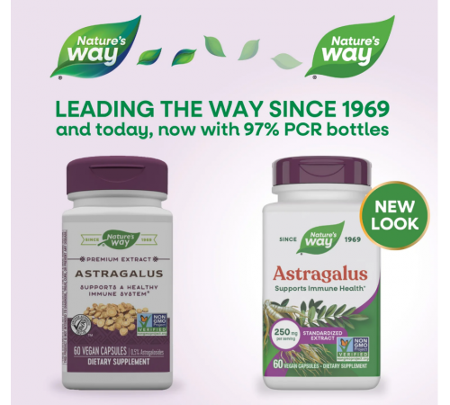 Астрагал Nature's Way Astragalus 60 капсул