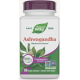 Ашваганда Nature's Way Ashwagandha 500 мг 60 вег капс