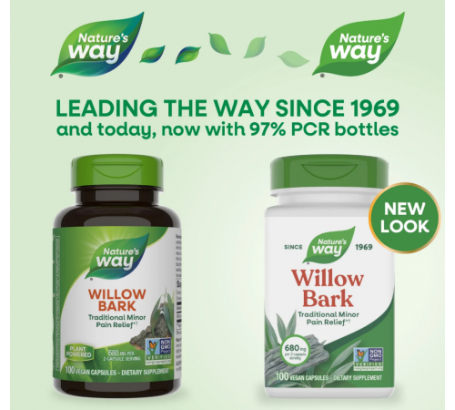 Біла верба кора Natures Way Willow Bark 100 капс