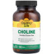 Холін Country Life Choline 100 таб