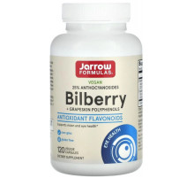 Чорниця для зору з виноградом Jarrow Formulas Bilberry 120 капс