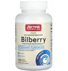 Чорниця для зору з виноградом Jarrow Formulas Bilberry 120 капс