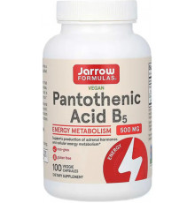 Пантотенова кислота Jarrow Formulas Pantothenic Acid B5 500 мг 100 капс