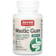 Смола мастикового дерева Jarrow Formulas Mastic Gum 500 мг 60 вег капс