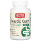 Смола мастикового дерева Jarrow Formulas Mastic Gum 500 мг 120 капс