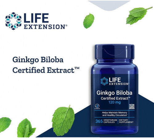 Гінкго білоба Life Extension Ginkgo Biloba 120 мг 365 капсул