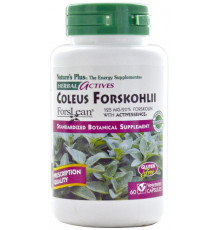 Форсколін Nature's Plus Coleus Forskohlii 125 мг 60 капсул