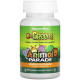Мультивітаміни із зелених овочів для дітей Nature's Plus Animal Parade Kid Greenz 90 жув таблеток Тропік