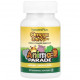 Омега 3 6 9 для дітей Animal Parade Omega 3/6/9 Junior Nature's Plus 90 жев капс лимон