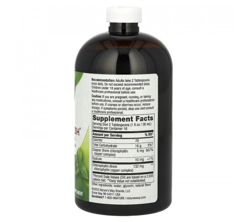 Хлорофилл Nature's Way Chlorofresh 480 мл мята