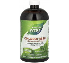 Хлорофіл Nature's Way Chlorofresh 480 мл м'ята