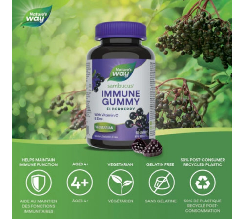 Чорна бузина для імунітету Nature's Way Sambucus Gummies 60 таб