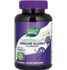 Підтримка імунітету для дітей Nature's Way Immune Gummy with Zinc & Vitamin 60 жев конф