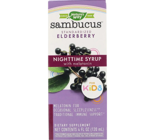 Покращення дитячого сну Nature's Way Nighttime Syrup with Melatonin 120 мл