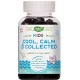 Натуральные успокоительные средства для детей 8+ Nature's Way Calm & Collected 40 жев конф виноград