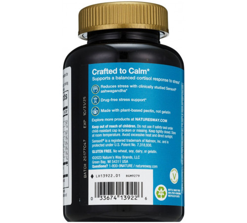 Поддержка при стрессе Nature's Way Stress Defense Gummies малина 60 конфет