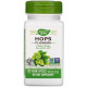 Хміль (квіти) Nature's Way Hops 620 мг 100 кап
