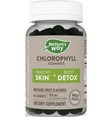 Натуральний хлорофіл Nature's Way Chlorophyll Gummies 100 мг 40 жув цук  фрукти