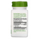 Кудзу Nature's Way Kudzu 1226 мг 50 кап