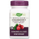 Журавлина для зміцнення здоров'я Nature's Way Cranberry Premium Blend 120 капс