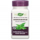Андрографіс Nature's Way Andrographis 300 мг 60 капсул