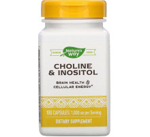 Холін та Інозитол Nature's Way Choline\Inositol 1000 мг 100 капс