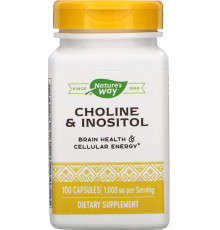 Холін та Інозитол Nature's Way Choline\Inositol 1000 мг 100 капс