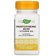 Пантотенова кислота Вітамін B5 Nature's Way Pantothenic Acid 250 мг 100 капсул