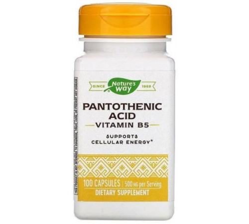 Пантотенова кислота Вітамін B5 Nature's Way Pantothenic Acid 250 мг 100 капсул