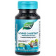 Конский каштан Nature's Way  Horse Chestnut 250 мг 90 капс