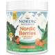 Витамины и минералы для детей Nordic Naturals Витамины для детей Multivitamin Gummies 120 конфет