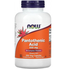 Пантотенова кислота Now Foods Pantothenic Acid 500 мг 250 рослинних капсул