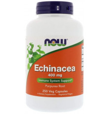 Ехінацея Now Foods Echinacea 400 мг 250 вег капс