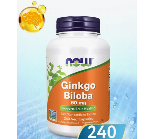 Гінкго білоба Now Foods Ginkgo Biloba 60 мг 240 вег капсул