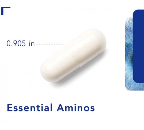 Комплекс амінокислот Pure Encapsulations Essential Aminos 180 капс