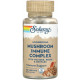 Грибний комплекс для імунітету Solaray Fermented Mushroom Immune Complex 100 капс