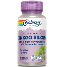 Гінкго білоба Solaray Ginkgo Biloba Leaf Extract 60 мг 60 вег капс