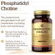 Фосфатидилхолін Solgar Phosphatidyl Cholinе 100 капс