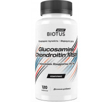 Глюкозамин Хондроитин МСМ Biotus Glucosamine Chondroitin MSM 120 таб