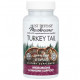 Траметес різнокольоровий Host Defense Turkey Tail Fungi Perfecti 60 капс