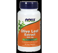 Листя оливи екстракт Now Foods Olive Leaf 500 мг 60 кап