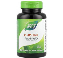 Холін Nature's Way Choline 500 мг 100 таб