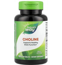 Холін Nature's Way Choline 500 мг 100 таб