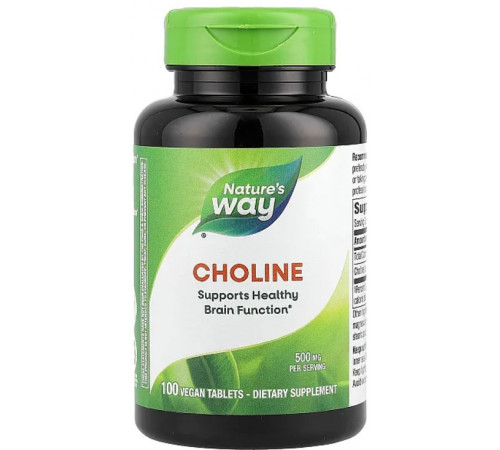 Холін Nature's Way Choline 500 мг 100 таб